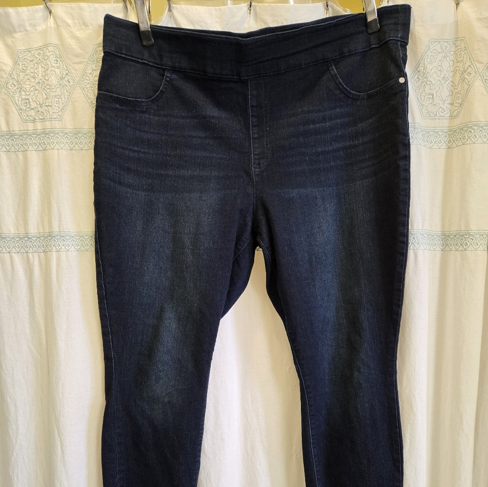 SimpyVera by Vera Wang size 22WL skinny jeans